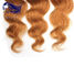 Prolongements colorés de cheveux pour des filles, vrais prolongements colorés de cheveux fournisseur