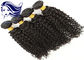 100 prolongements de cheveux de Remy de Brésilien de Vierge/cheveux droits brésiliens de Vierge fournisseur