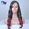 Perruques de dentelle de cheveux de Remy de femmes de couleur les pleines embrouillent 24 pouces libre fournisseur