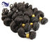 24 cheveux noirs naturels de Vierge de Remy de Brésilien de cheveux de Vierge de la catégorie 7A de pouce fournisseur