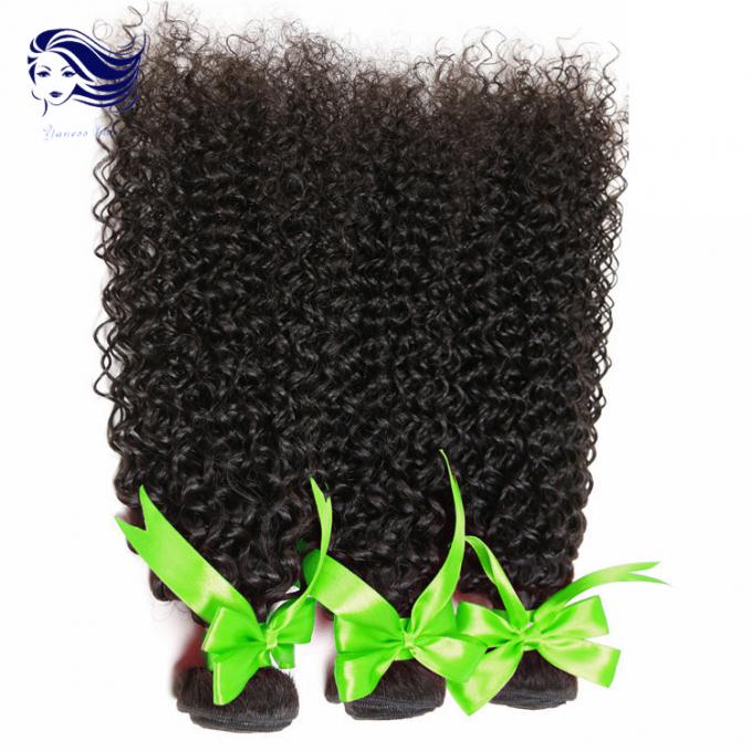 Cheveux micro de catégorie de la trame 8A de Vierge de prolongements indiens bouclés frisés de cheveux